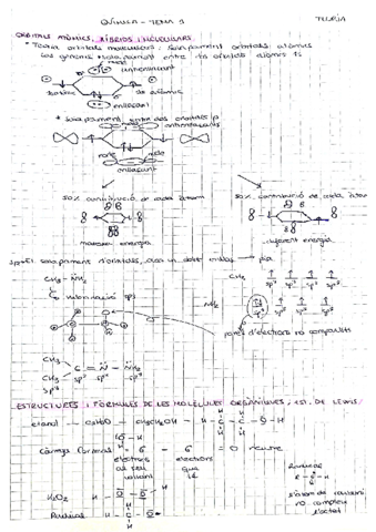 Tema-1-1-quimica-.pdf