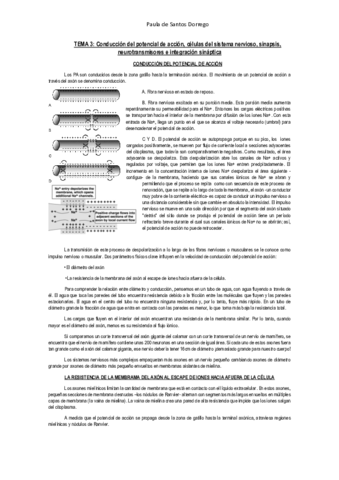 APUNTES--Tema-3.pdf