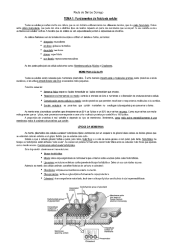 APUNTES--Tema-1.pdf