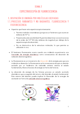 TEMA-2.pdf
