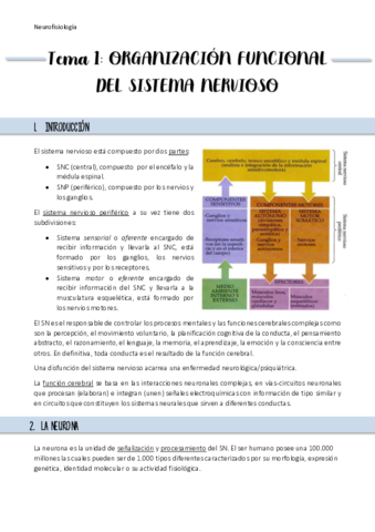 Resumen-Tema-1.pdf