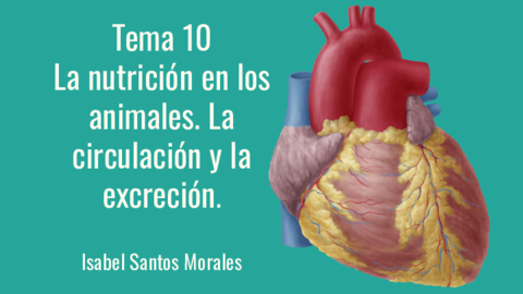 Tema-10-Biologia-.pdf