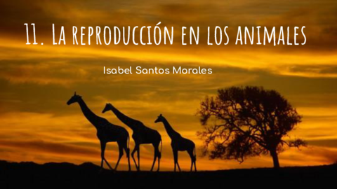 Reproduccion-en-los-animales.pdf