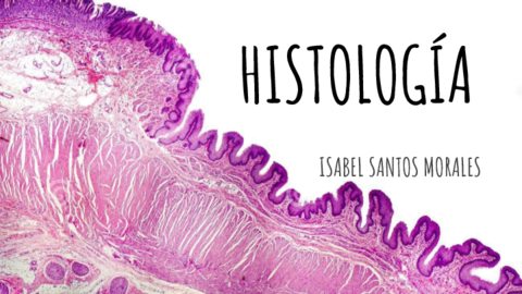 Histologia.pdf