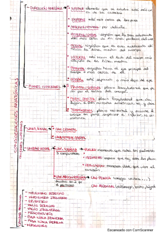 esquemas-t1-y-exploracion-del-paciente-TBE.pdf