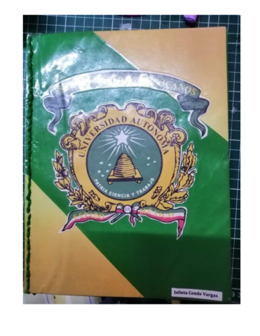 1.1 CONCEPTOS Y ORIGENES 