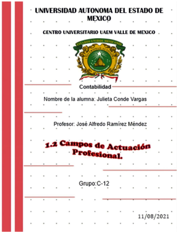 1.2 CAMPO DE ACTUACION PROFESIONAL