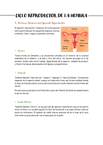 CICLO-REPRODUCTOR-DE-LA-HEMBRA-SI.pdf