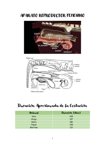 OCRC-1-SI-APUNTES.pdf