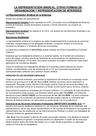 4-LA-REPRESENTACION-SINDICAL.pdf
