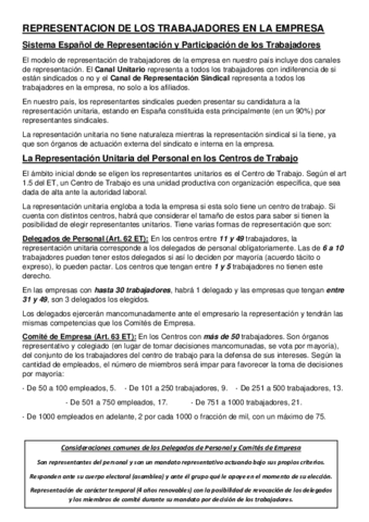3-LA-REPRESENTACION-DE-LOS-TRABAJADORES-EN-LA-EMPRESA.pdf