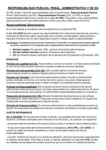 3-RESPONSABILIDAD-PUBLICA.pdf