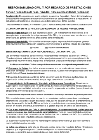 4-RESPONSABILIDAD-CIVIL-Y-POR-RECARGO-DE-PRESTACIONES.pdf