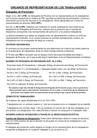 2-ORGANOS-DE-REPRESENTACION-DE-LOS-TRABAJADORES.pdf