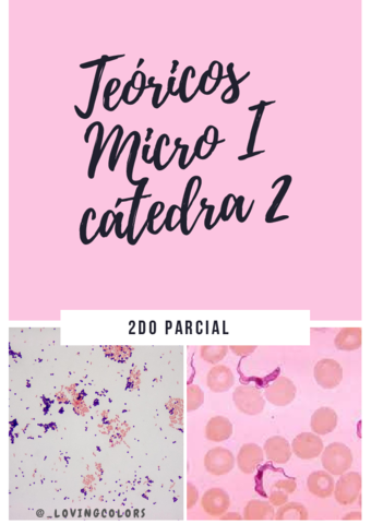 TEORICOS-2DO-PARCIAL.pdf