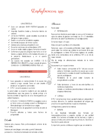 SEM-2-Staphylococcus-Streptococcus.pdf