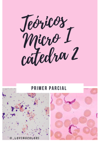 TEORICOS-DEL-PRIMER-PARCIAL-1-7.pdf