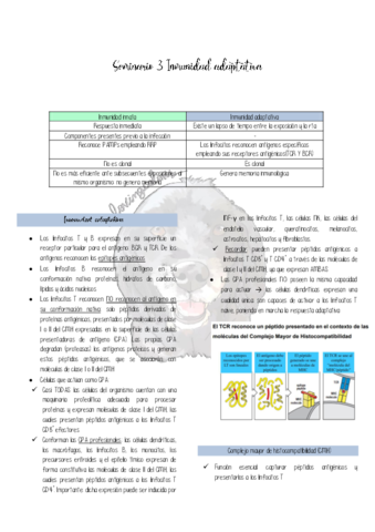SEMINARIO-3-.pdf