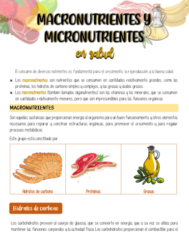 MACRONUTRIENTES-Y-MICRONUTRIENTES.pdf