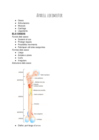 Laparell-locomotor.pdf