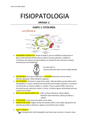 UNIDAD-1-fisiopatologia-GENERAL-1.pdf