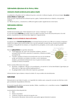 5. Pequeños Animales.pdf