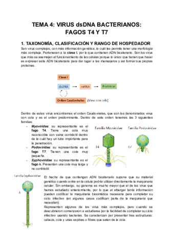TEMA-4-VIRUS-dsDNA-BACTERIANOS-FAGOS-T4-Y-T7.pdf