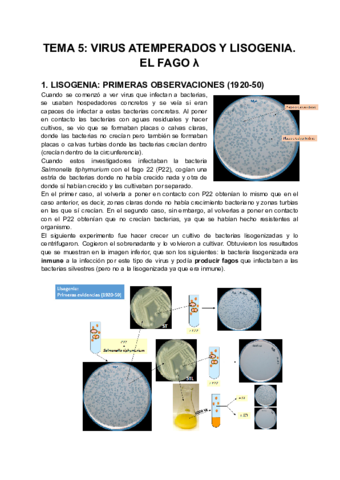 TEMA-5-VIRUS-ATEMPERADOS-Y-LISOGENIA.pdf