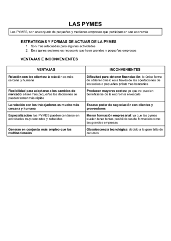 LAS-PYMES-Y-MULTINACIONALES.pdf