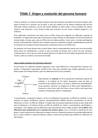 TEMA-7-antro-comision-copia.pdf