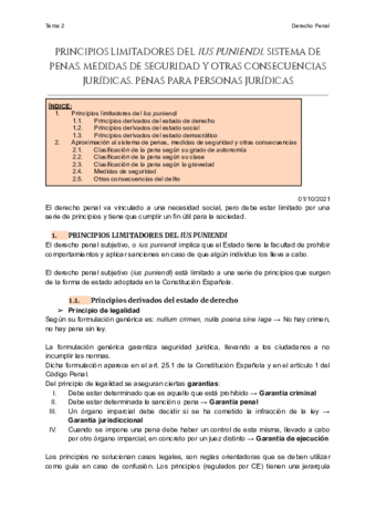 Tema-2-La-pena-nociones-generales.pdf