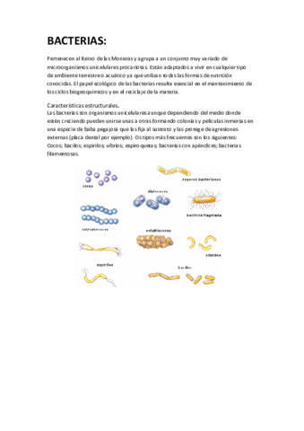 bacterias-apunts.pdf