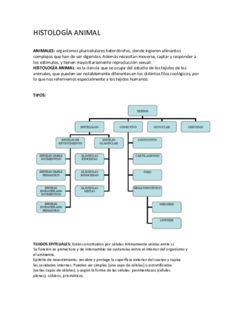 Tejidos-animales-apuntes.pdf