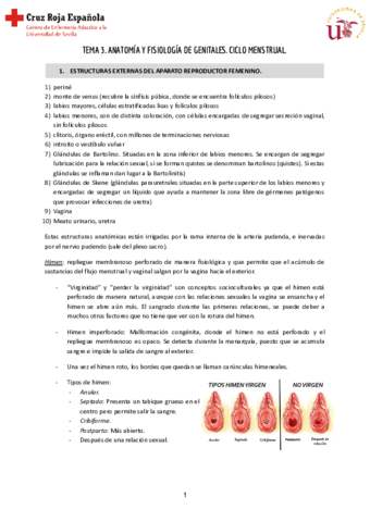 Tema-3-Reproductiva-1.pdf