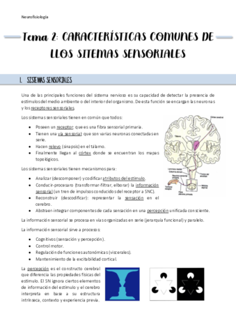 Resumen-Tema-2.pdf