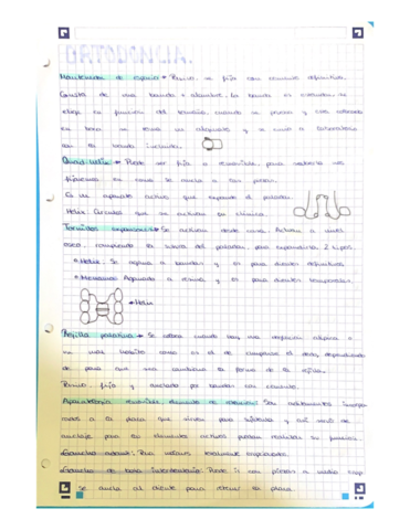 tipos de aparatología fija y removible.