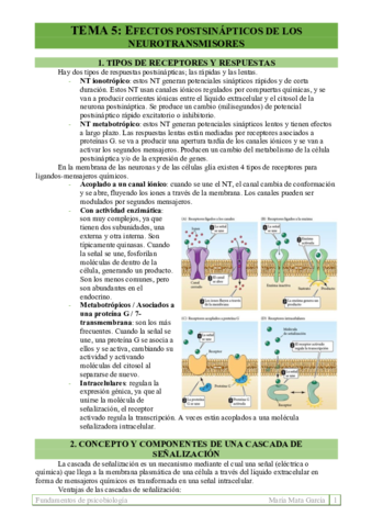 TEMA 5. Efectos postsinápticos de los NT