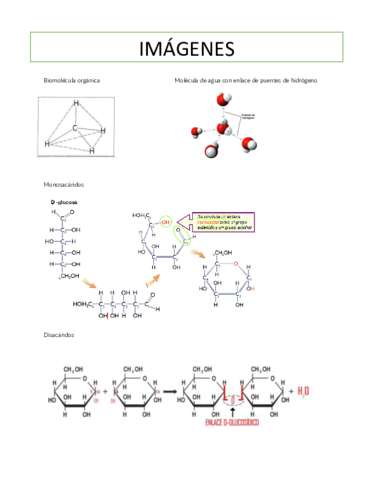 fotos-biologia.pdf