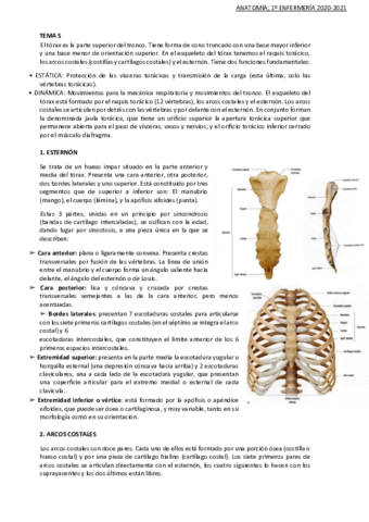 TEMA-5-anatomia.pdf