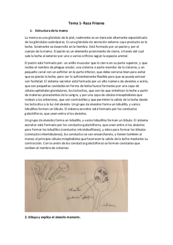 Apuntes-Frisona.pdf