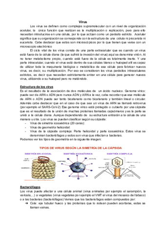Virus.pdf