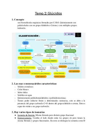 Tema-2-Glucidos.pdf