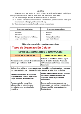 La-celula.pdf