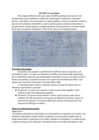 Del-ADN-a-las-proteinas.pdf
