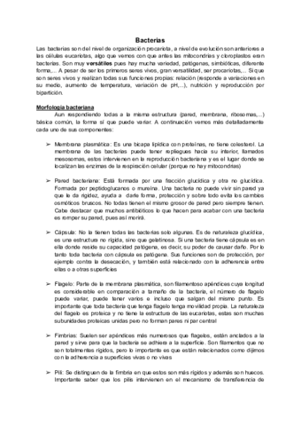 Bacterias.pdf