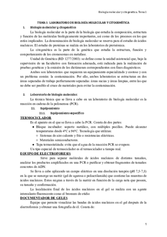 TEMA-1BMC.pdf
