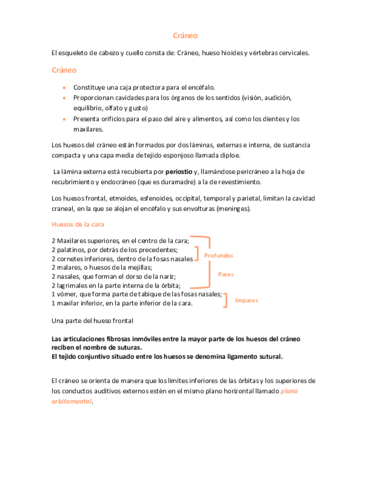 Anatomia-Craneo-y-hueso-hioides.pdf