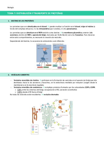 TEMA-7-Distribucion-y-transporte-de-proteinas.pdf
