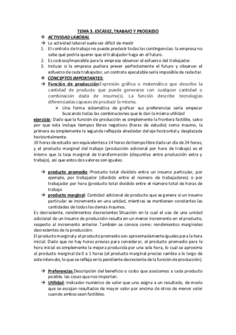 Tema-3-economia.pdf