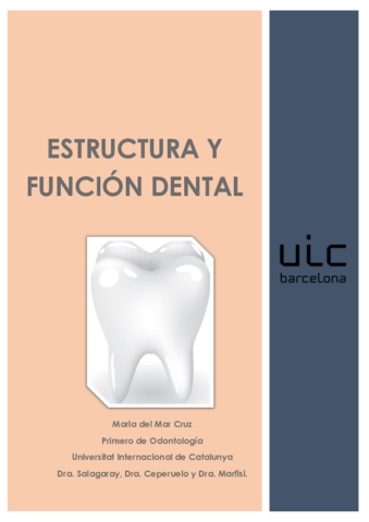 Apuntes matrícula de Honor dental.pdf